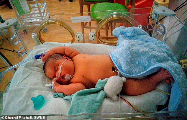 Mãe dá à luz bebê de 6,7 kg no Reino Unido