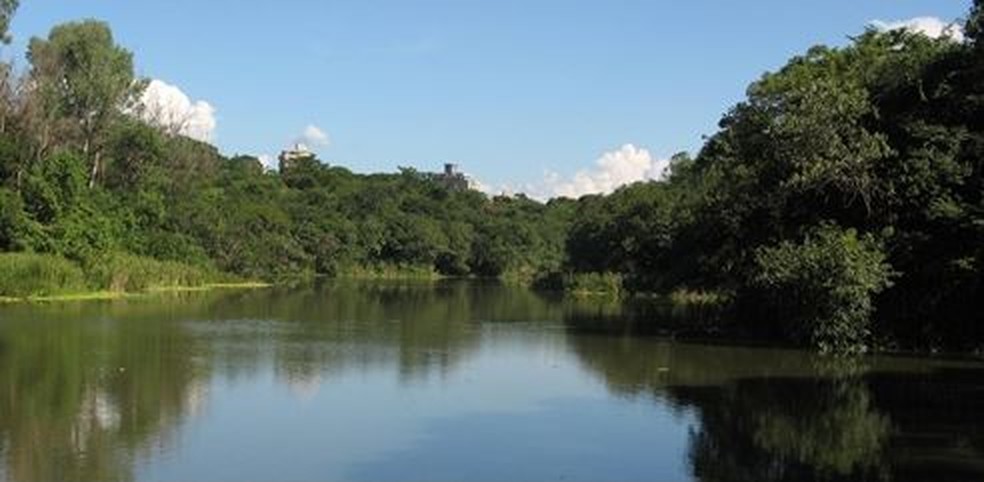 Parque Lagoa do Nado é fechado por suspeita de caso de raiva, e PBH reforça vacinação de animais