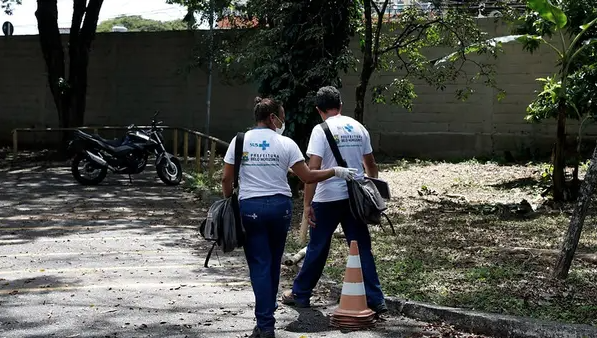 Falta inseticida para combater mosquito da dengue, zika e chikungunya em Belo Horizonte