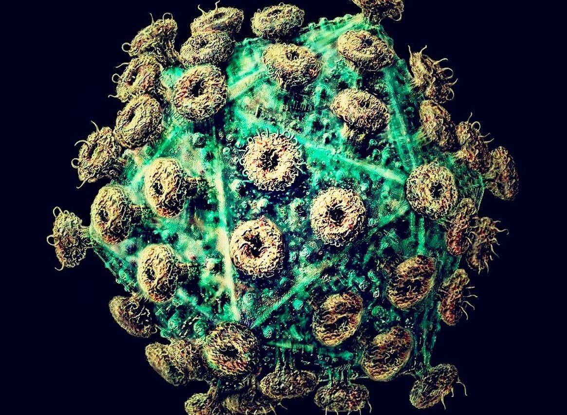 Nova variante do HIV está circulando em três estados brasileiros, diz estudo; veja onde